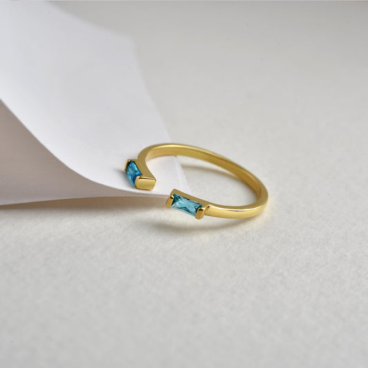 Two stone baguette ring detail